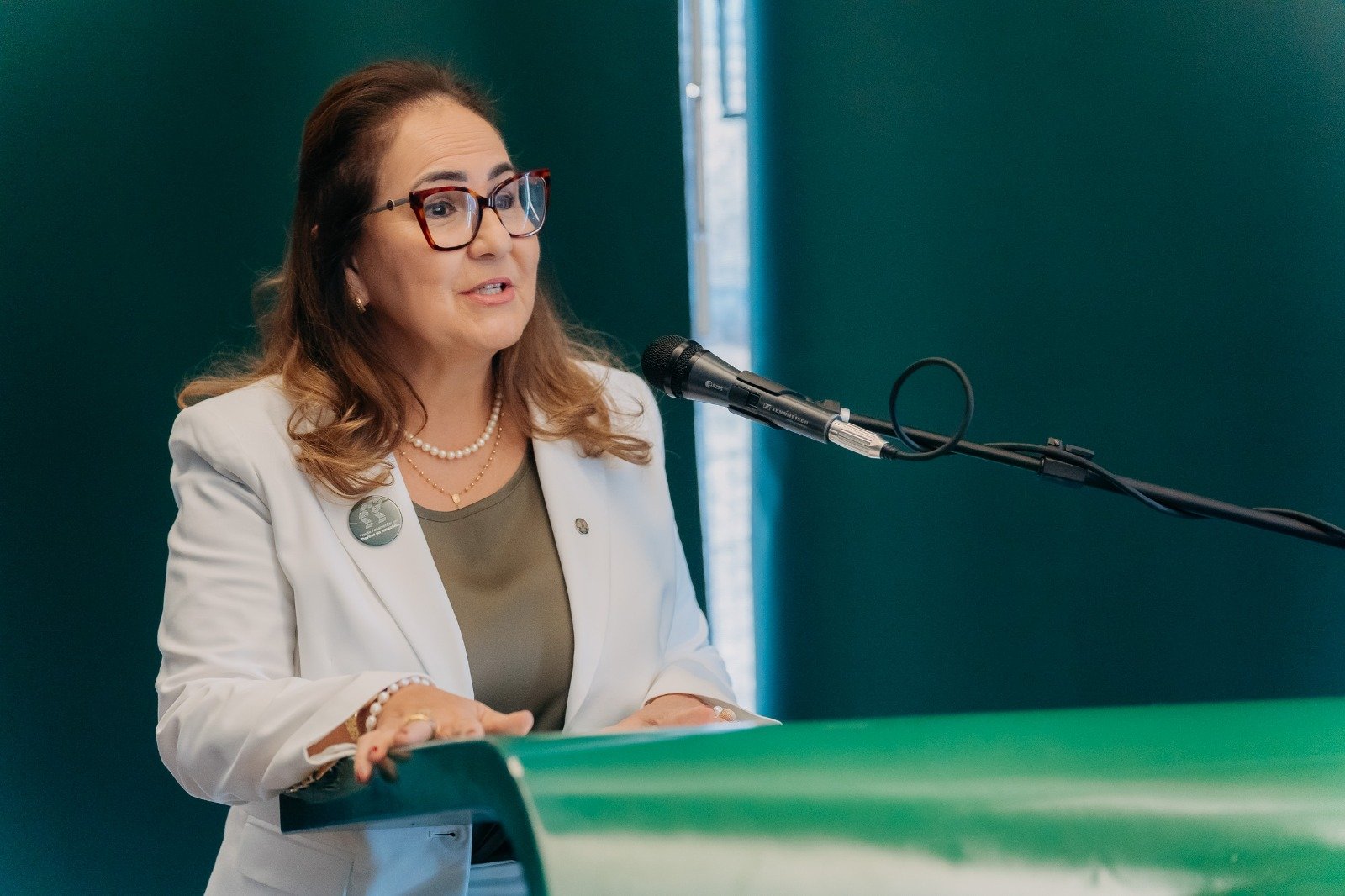 Professora Goreth vai coordenar a Frente Parlamentar Mista em Defesa da Amazônia