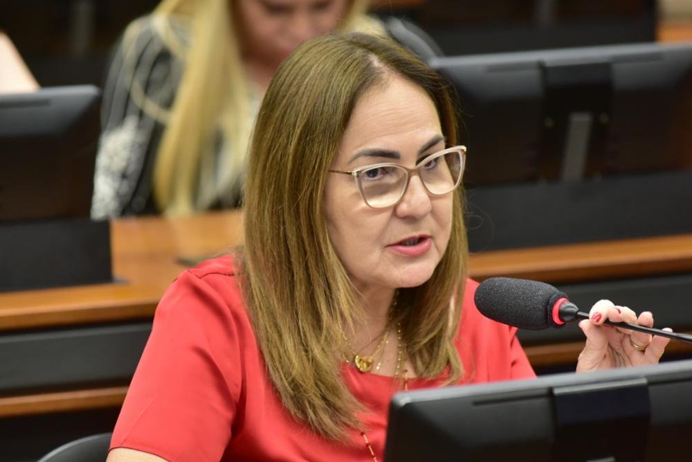 Professora Goreth requer e deputados aprovam subcomissão de recomposição da aprendizagem