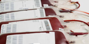 Aprovado projeto de Marcos Tavares que prevê o uso digital para acompanhar e incentivar a doação voluntária de sangue