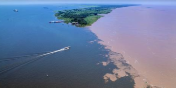 Solicitado por Duda Salabert, comissão debate proteção legal da bacia do rio Tapajós