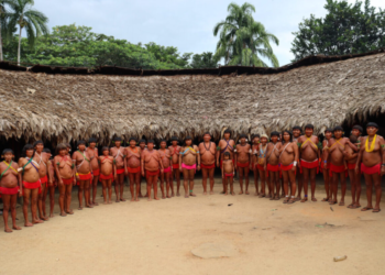 Crise humanitária em territórios yanomamis e y’ekuana é tema de debate na Câmara nesta terça-feira, 27