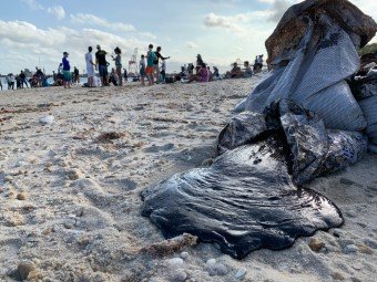 Túlio Gadêlha critica lentidão no combate ao vazamento de óleo nas praias do NE